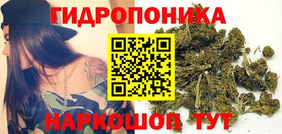 спиды Бийск