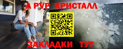 спиды Бийск