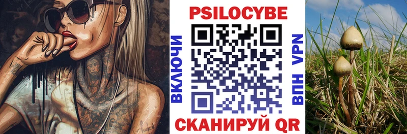 Псилоцибиновые грибы мицелий  Когалым 